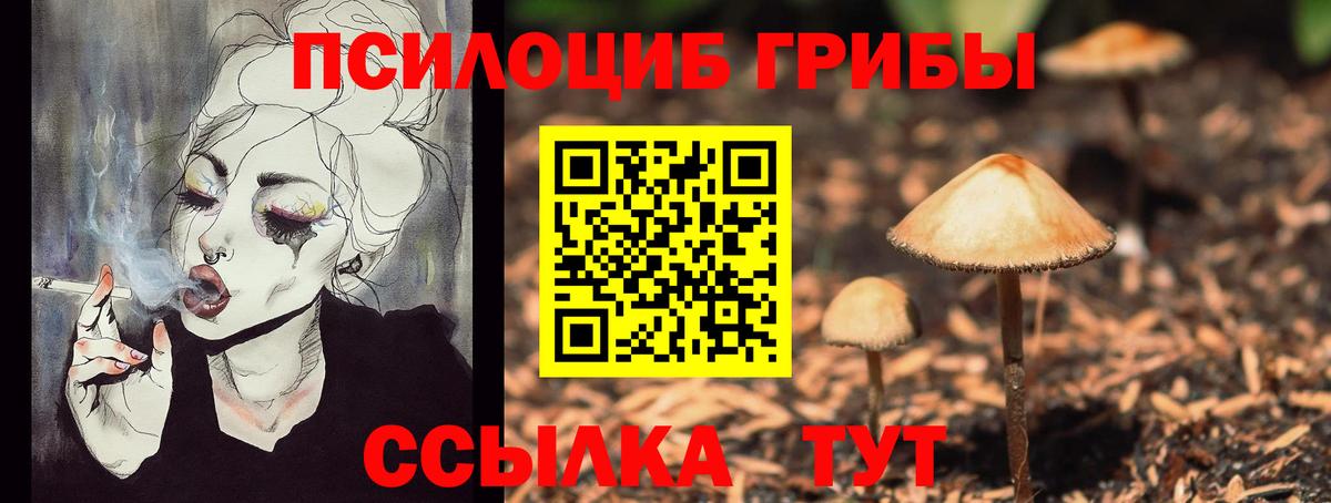 Псилоцибиновые грибы Magic Shrooms Самара