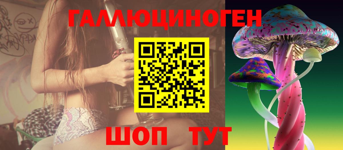 магазин  наркотиков  Галлюциногенные грибы GOLDEN TEACHER  Вход с VPN  Самара 